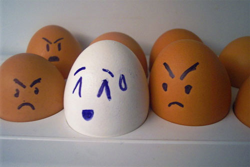 حيات البيض موهددة  Egg12