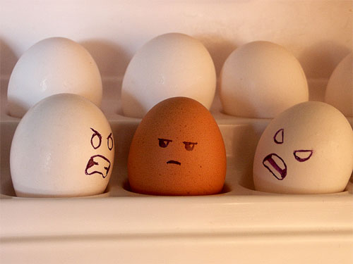 اتقوا الله في البيض‏...!!!‎ Egg16