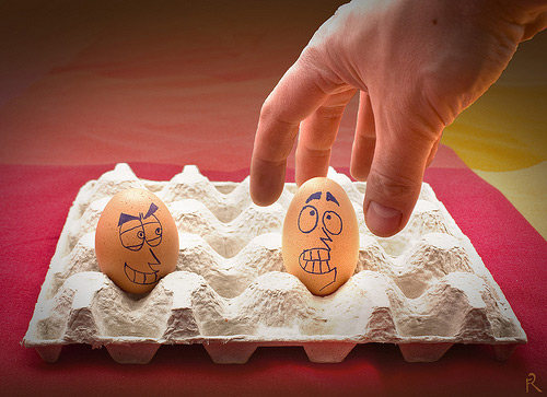 حيات البيض موهددة  Egg21