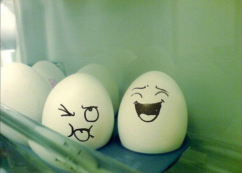 حيات البيض موهددة  Egg4